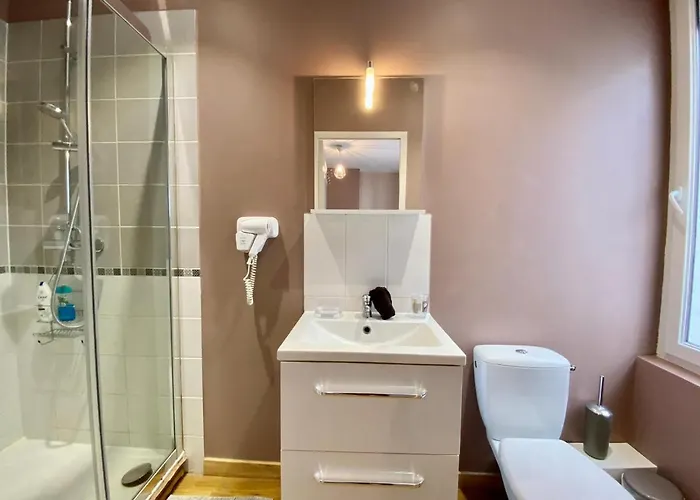 酒店 La Cauchoise - Duplex Centre De - 031 *